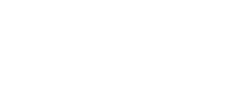Disparo Pro