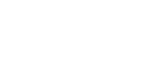 Zucchi